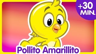 POLLITO AMARILLITO  Compilado de Clips 30 min  Canciones infantiles de la Gallina Pintadita [upl. by Oicirbaf]