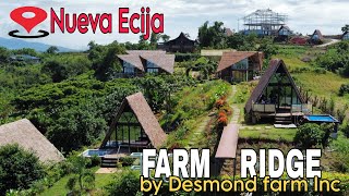 FARM RIDGE by Desmond farm partners Inc tourist attractions PANTABANGAN Nueva Ecija Philippines 🇵🇭 [upl. by Bevis158]