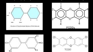 halogenated aromatic hydrocarbons [upl. by Ynaittirb481]