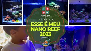 Esse é meu Nano Reef 2023  Vídeo nº4 [upl. by Aksehcnarf151]