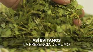 Producción de la Yerba Mate Taragüi  Etapa 5 SECADO [upl. by Kcirddot]