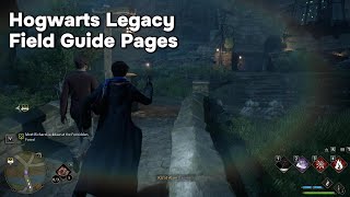 Hogwarts Legacy field guide pages [upl. by Sanfo]