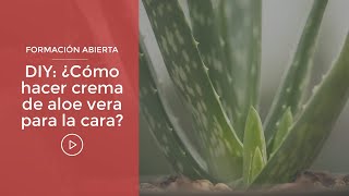 DIY ¿Cómo hacer crema aloe vera para la cara [upl. by Merideth]