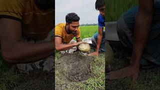 শেষ পর্যন্ত দুই ভাই মাটির মধ্যে গুপ্তধন 🥷পেয়ে গেল 😲shorts trending [upl. by Emelina]