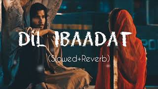 Dil Ibaadat Kar Raha Hai  New lofi song  sad hindi slowedreverb lofi slowedandreverb [upl. by Aletha]