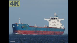 MARAN UNITY  Shipspotting Germany 🇩🇪 IMO 9729166  River Elbe near City Otterndorf  4K VIDEO [upl. by Sharleen667]