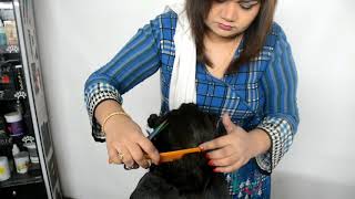 uniform layer haircut step by step  How To Do a Uniform Layered Haircut Nazia khan [upl. by Amor]