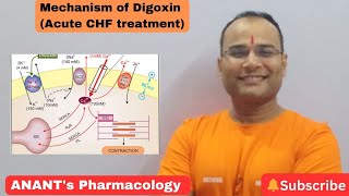 Mechanism of Digoxin Acute CHF treatment [upl. by Anella632]