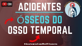 Osso Temporal ACIDENTES ÓSSEOS Quais são❗❓DESCUBRA AQUI❗ Anatomia Prática [upl. by Mosra]