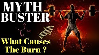 MYTHBUSTERS 1 What Causes That Muscle Burn Feeling [upl. by Enilekcaj]