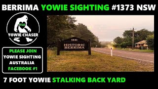 YOWIE SIGHTINGS BERRIMA 1373 NSW [upl. by Ardekan]