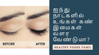 How to Grow Long and Thick Eyelashes in 5 Days at Home  Eye Tips  Healthy Foods Tamil [upl. by Narba790]