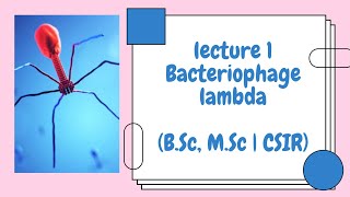 Bacteriophage Lambda  Lecture 1 Introduction [upl. by Aliak]