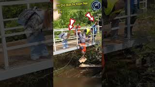 Amazing rescue of this cute kitten 😱🫡 respect shorts ytshorts [upl. by Anjali557]