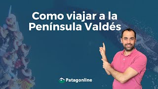 Viajar a la Península Valdés  Todo lo que tenes que saber [upl. by Lenz]