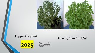 support in plant 3rd secondarybiology شرح 2025 [upl. by Yatzeck]