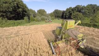 Güldner G75 met een Claas Automatic S Haver dorsen [upl. by Miyasawa461]