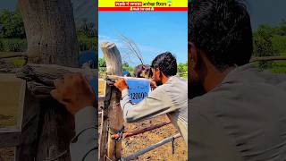 लड़के ने किया अनोखा कांड Wood working with art handcraft ideas home maderal telentskillar [upl. by Orten]