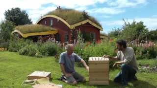 Beekeeping  How to use the Rose Hive Method Part 1 [upl. by Anal257]