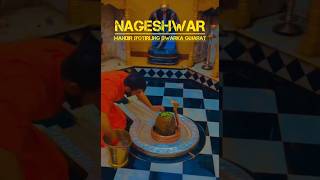 How to reach Nageshwar Temple Dwarka I Nageshwar Jyotirlinga I Nageshwar Mahadev Temple Dwarka [upl. by Anicart35]