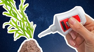 How to Aquascape with Super Glue – 8 Tips [upl. by Draillih]