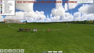 NH WK9 R30 TATTERSALLS IRELAND GRADE 1 JUVENILE [upl. by Xam]