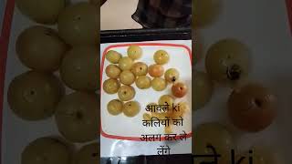 amla candy recipe  how to make amla candyinstant amla candyshort viral youtubeshort [upl. by Brandwein907]