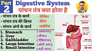 Digestive System In Hindi  पाचन तंत्र  Stomach  Liver  Small Intestine  Large Intestine  HCL [upl. by Bendite]