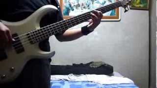 LOS VIOLADORES  Sentimiento Fatal BASS COVER [upl. by Nylrahs]