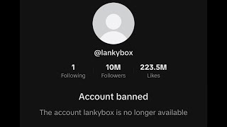 lankybox just got banned [upl. by Nasar]