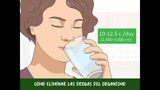 Cómo eliminar las drogas del organismo [upl. by Carnahan731]