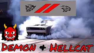 DODGE HELLCAT amp DEMON SRT COMPILATION  SUPERCHARGER WHINE BURNOUTS EXHAUST SOUND [upl. by Galina812]