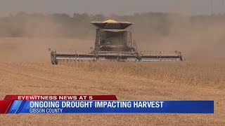 Ongoing drought impacting TriState harvest [upl. by Notsgnal341]