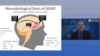 The Neurobiology of ADHD [upl. by Lyndel]