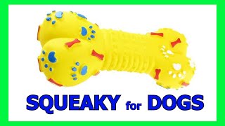 Dog Squeaky Toy  Sounds that attract dogs prankyourdog squeaky [upl. by Leuqcar]