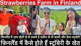 Biggest strawberry farm in Finland Train take you to Strawberry picking area  Finland Hindi vlog [upl. by Gusty]