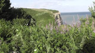 Time Out Walks Book 1 Walk 25 Rye to Hastings 5710 [upl. by Nicolina]