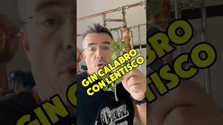 Gin Calabro alla resina di Lentisco 🌿 gin bartender cocktail erbearomatiche [upl. by Ready]