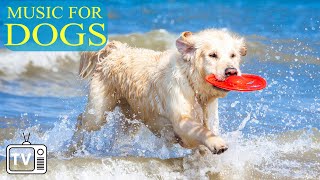 Calming Music for Dogs with Separation Anxiety amp DOG TV Best Deep Music for Dog amp Help Dog Sleep [upl. by Tiffanie]