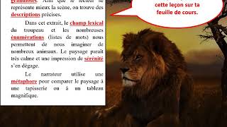 Cours sur le roman Le Lion de Joseph Kessel [upl. by Itsyrc]