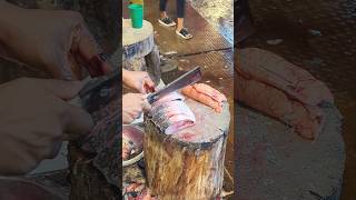 Amazing Hilsa Fish Cutting Skills In Bangladesh Local Fish Market shorts [upl. by Rubinstein]