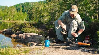 Camping alone in Norwegian forest [upl. by Questa]