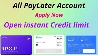 All PayLater Account Open Instant Credit limit [upl. by Leur214]