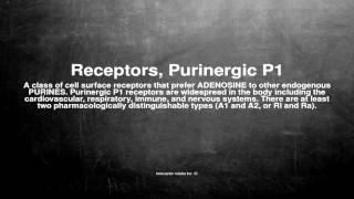 Medical vocabulary What does Receptors Purinergic P1 mean [upl. by Hael]