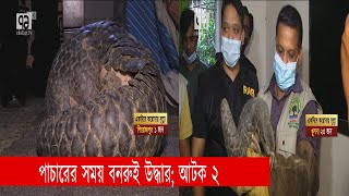 পাচারের সময় বনরুই উদ্ধার আটক ২  Banrui  Smuggling  News  Ekattor TV [upl. by Mohsen784]