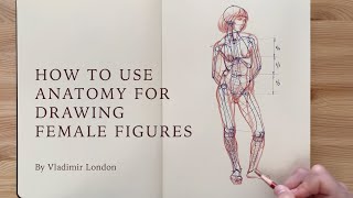 How to Use Anatomy for Drawing Female Figures [upl. by Valorie488]