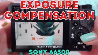 Sony a6500 Exposure Compensation Made Easy [upl. by Eanel]