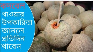 কদবেল খাওয়ার উপকারিতা ও গুণাগুণ Kadbeler upokarita o gunagun alochona etc [upl. by Ennasus]