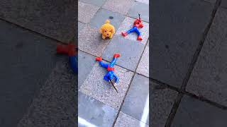 The crawling SpiderMan toy that can crawl and fight is cool and fun SpiderMan toys Children [upl. by Iteerp]