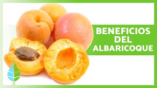 10 Increíbles BENEFICIOS del ALBARICOQUE 🍑✅ Propiedades Medicinales y Cómo Comerlo [upl. by Zippel]